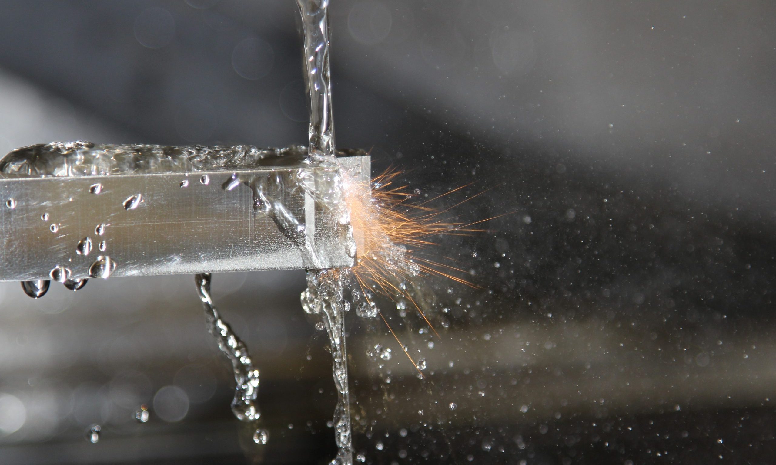 cropped-IMG_3004-scaled-1.jpg